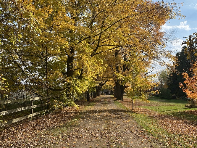 photo-1774355568584-b5b952c5c250 Large